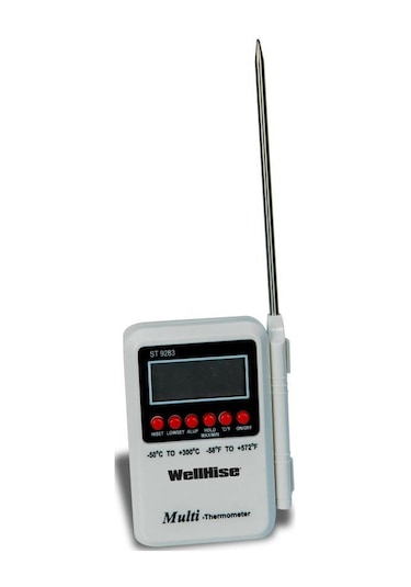 Wellhise ST-9283 Daldirma Tipi Termometre Profesyonel Gıda