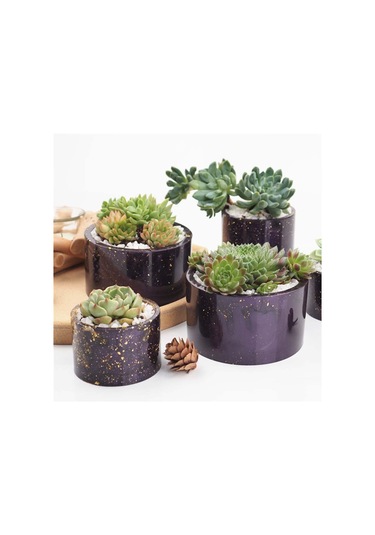 Suntek Magideal Etli Bitki Saksı Reçine Kalıpları Yuvarlak Büyük