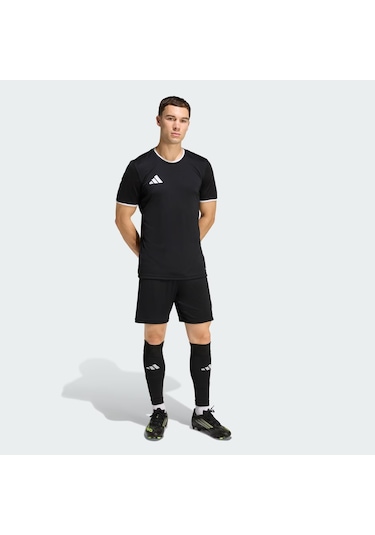 Adidas Jz2521 Ent26 Erkek Spor Şort Renkli
