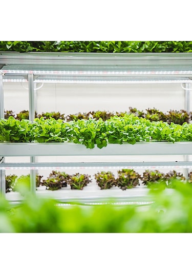 Vkemall Bitki Büyüme Lambası - 3 Kollu 100cm Kırmızı Sıcak Led Işık, 24 Saat Zamanlayıcı, 4 Parlaklık Seviyesi, Usb Güç