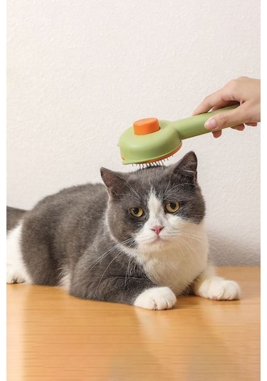 Kedi Köpek Mama Su Kabı + Tarak + Tırnak Makası Seti