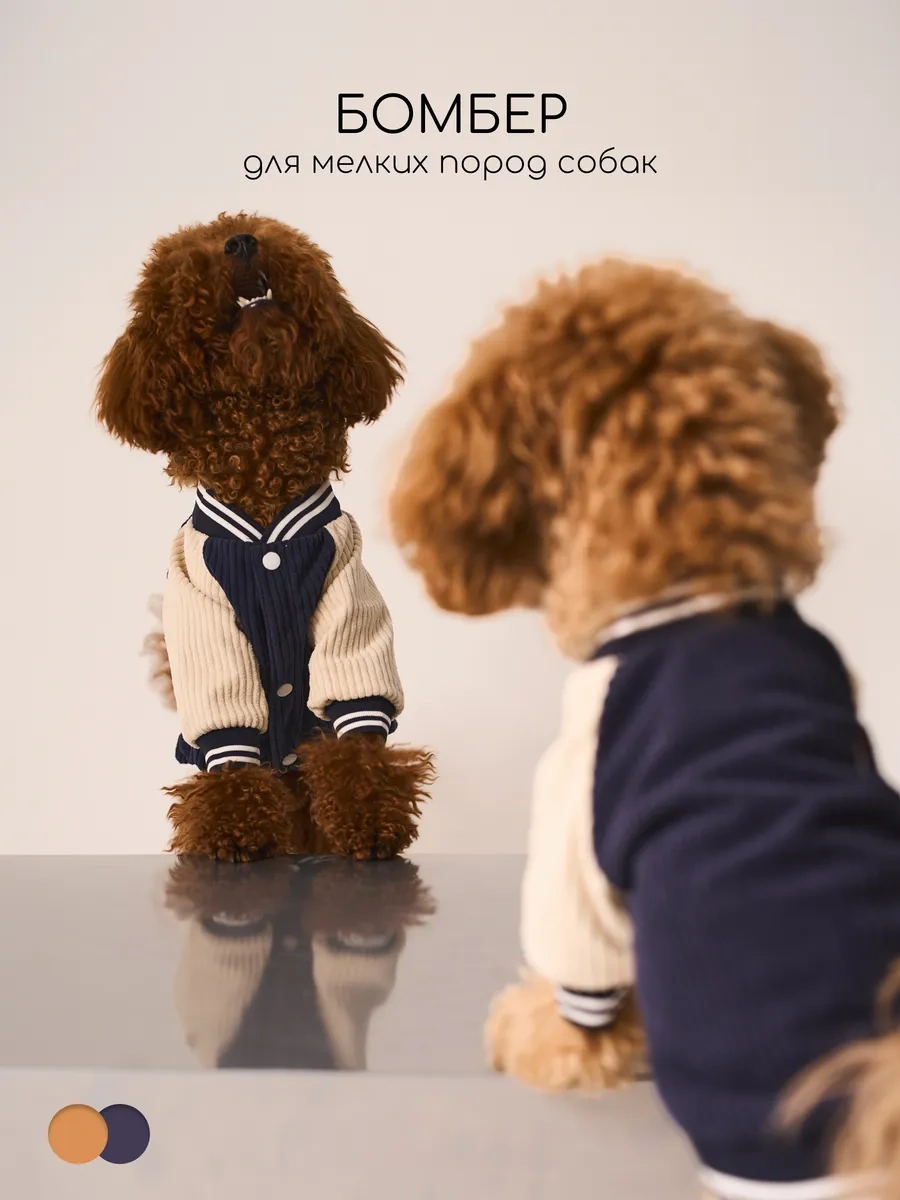 Petite Pets Küçük Irklar İçin Köpek Bombardıresi 338568297