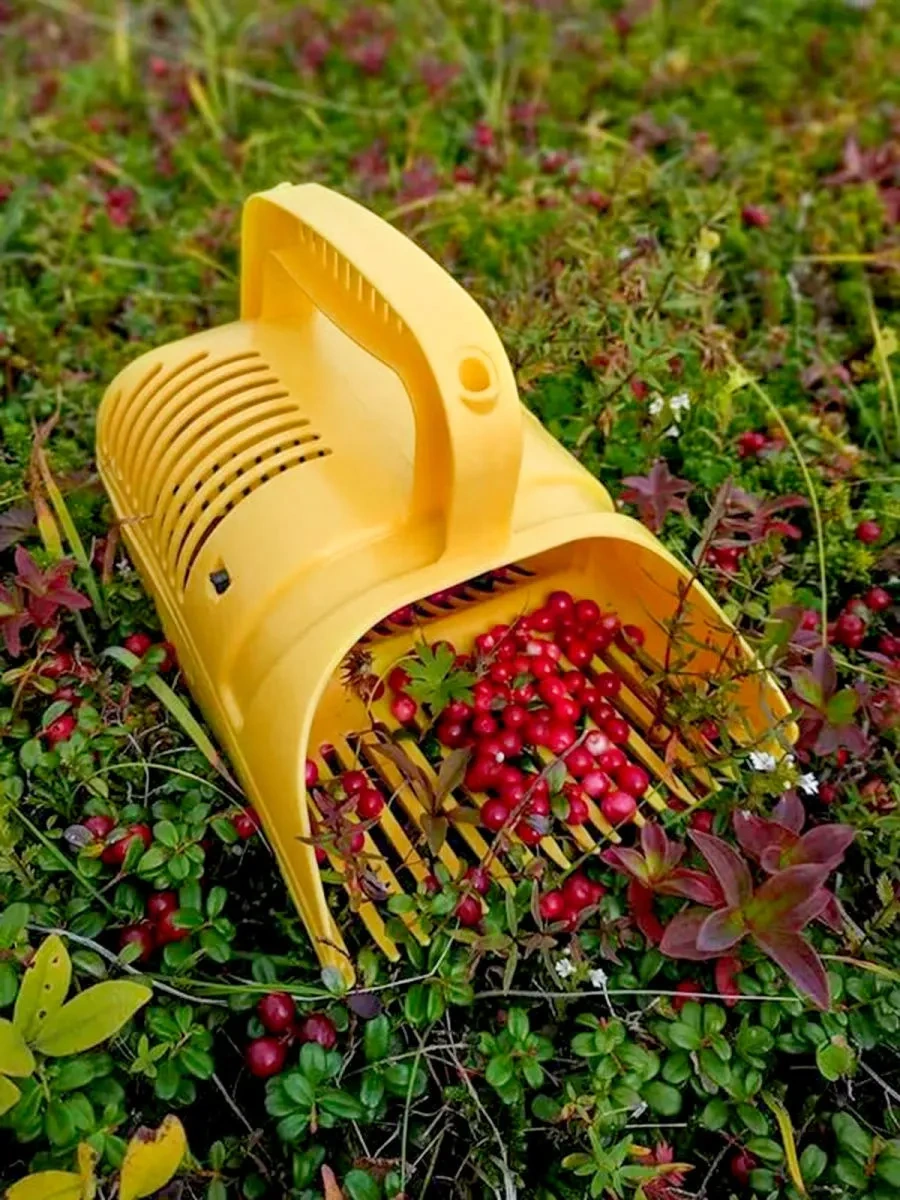 Gardena Meyve Toplayıcı. Meyve Toplayıcı Kombayn. 445174819