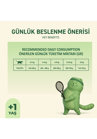 Kuzu Etli Yaş Konserve Yetişkin Kedi Maması, Jöle İçinde Parça Etli, 400 Gr X 12 Adet