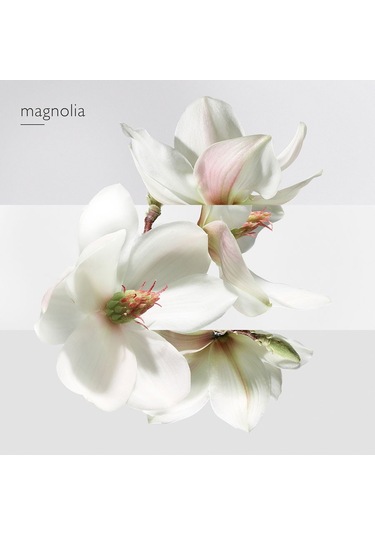 Hermes Un Jardin Sur La Lagune, Eau De Toilette 50ml Diğer