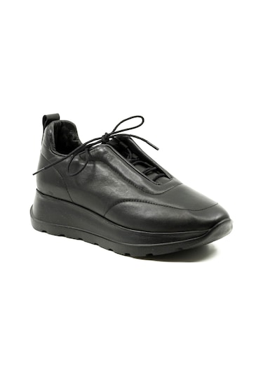 Dexter Tp22126-61 Çok Renkli