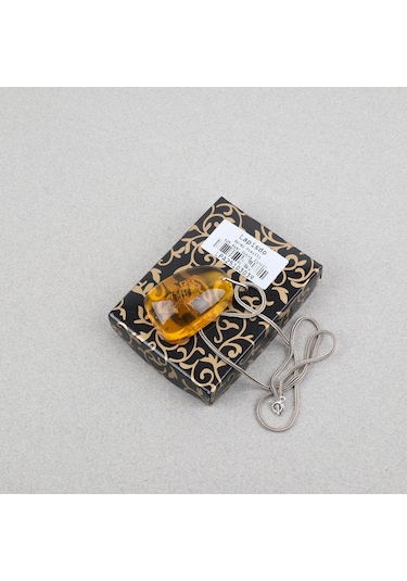 Gerçek Akrep Fosilli 925 Ayar Gümüş Zincirli Kolye - Tip C Sarı