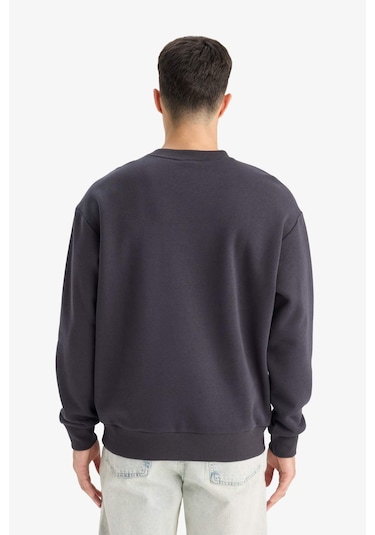Defacto Relax Fit Bisiklet Yaka Kalın İçi Yumuşak Tüylü Basic Düz Sweatshirt T5139az25auar138 Antrasit Defacto Relax Fit Bisiklet Yaka Kalın İçi Yumuşak Tüylü Basic Düz Sweatshirt T5139az25auar138 Antrasit