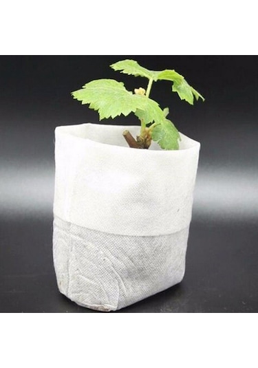 100 Adet / Paket Kreş Saksıları Fide Yetiştirme Torbaları Çevre Dokumasız Kreş Torbaları