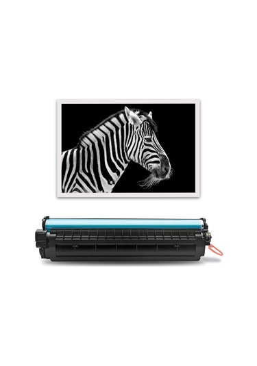 Hp CF244A (44A) Muadil Toner