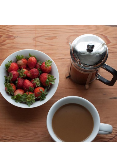 Homyl 4 Adet French Press Yedek Filtre Paslanmaz Çelik Örgü Ev Gümüş