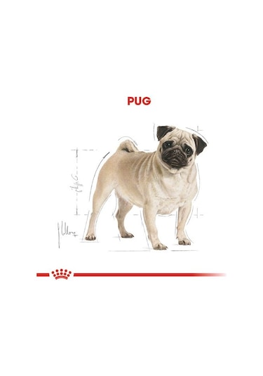 Royal Canin Pug Yetişkin Köpek Maması 1.5 KG
