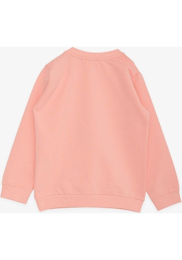 Breeze Kız Çocuk Sweatshirt Tavşancık Baskılı 1.5-5 Yaş, Somon-somon Somon Breeze Kız Çocuk Sweatshirt Tavşancık Baskılı 1.5-5 Yaş, Somon-somon Somon