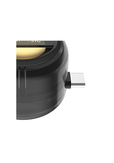 Homyl Usb-c Mini Telefon Hoparlörü Tak Ve Çalıştır, Siyah