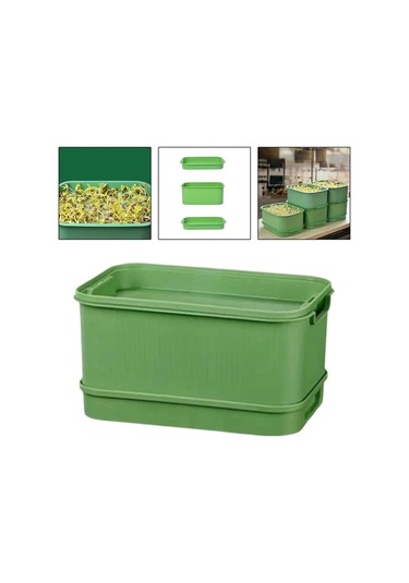 Homyl Tohum Filiz Tepesi Ev Mutfak Maş Fasulyesi Için Büyük