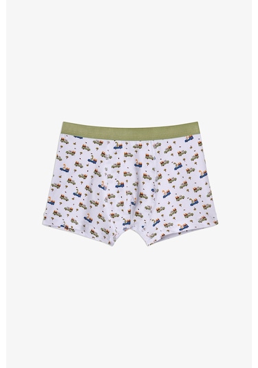 Penti Haki Erkek Çocuk Dino in The Field 3'lü Boxer
