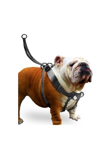 Karlıe Easy Walker Göğüs Tasma 52*84 Cm Xlarge Siyah