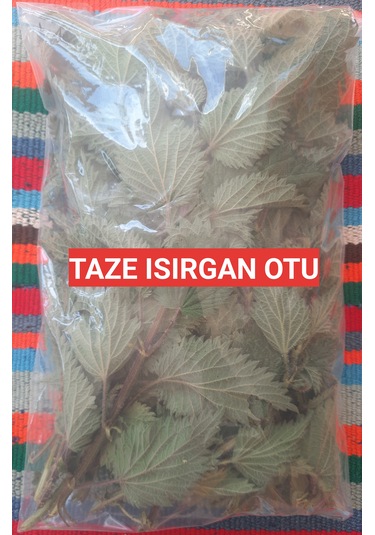 250 Gram İlaçsız Taze - Yaş Toplanmış Organik Isırgan Otu