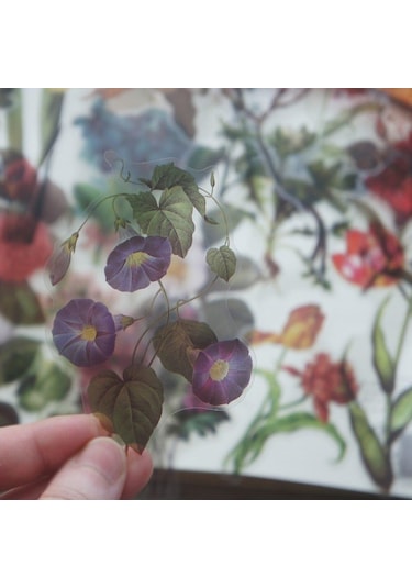 40 Adet Yağlıboya Çiçek Tarzı Şeffaf Etiket Scrapbooking Dıy Hediye Ambalaj Etiketi Hediye Dekorasyon Etiketi Diğer