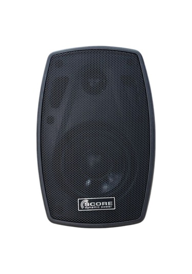 Score L-620 Duvar Hoparlörü