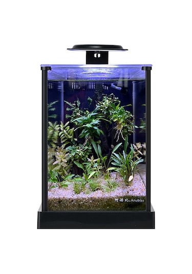 Anubias A168 Nano Akvaryum Set 18,7x23,7x25,8 Cm