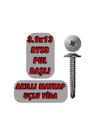 1000 Adet 3.9X13 Rysb Matkap Uçlu Akıllı Vida Pul Başlı