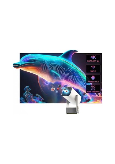 Şarjlı Projeksiyon