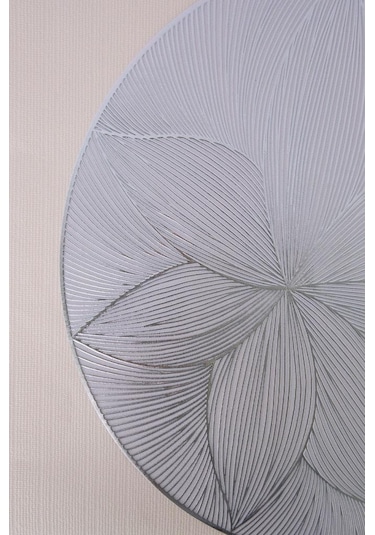 Digithome 6 Lı Amerikan Servisi Supla Yuvarlak Gümüş 38 Cm Thn76953 C1-1-18 Gümüş