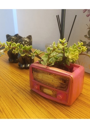 Artepieza Retro Radyo Sukulent Saksısı Ve Kalemlik - Masaüstü Dekoratif Organizer Pembe 12 8 12cm