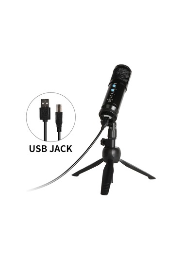 Jwin Rms-14 Condenser Stüdyo Youtuber Ses Kayıt Usb Girişli Mikrofon