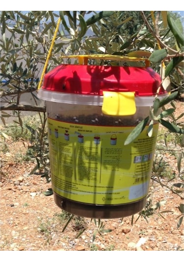 Kovalı Sinek Kapanı