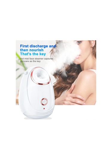 Ruicoo Evde Kullanan Nanoteknoloji Isı Buhar Yüz Aletleri - 45 C Hızlı Isınma, 30 Saniye Buhar, 180ml Depolama, Nemlendirici Cilt Bakımı Avrupa Standartı Beyaz