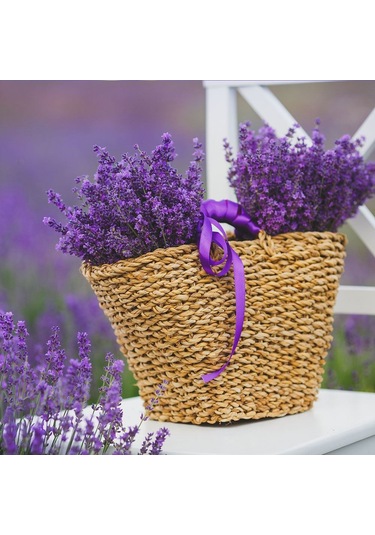 Lavanta Tohumu - Çok Yıllık Aromatik Parfüm Ve Kozmetik Endüstrisi İçin İdeal