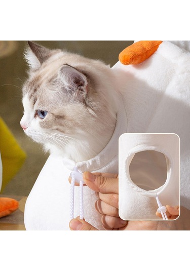 Homyl Pet Taşıyıcı Çanta Yavru Kediler Ve Küçük Köpekler