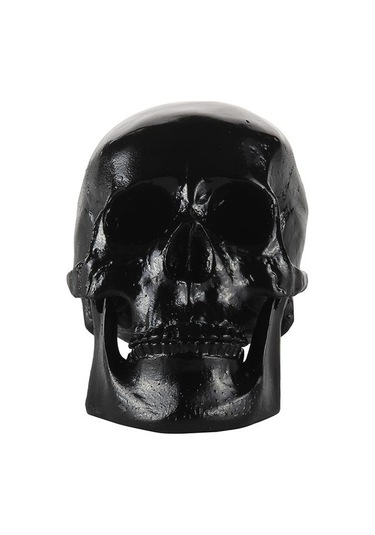 Suntek Reçine Çoğaltma Sanat İnsan Kafatası Modeli Parti