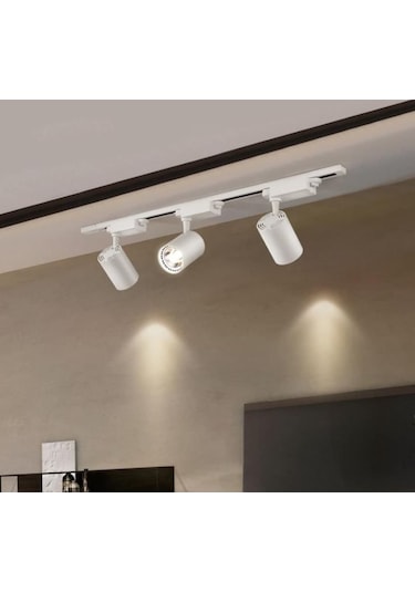 30W Led Ray Spot 3Lü Set -Beyaz Kasa -Beyaz Işık