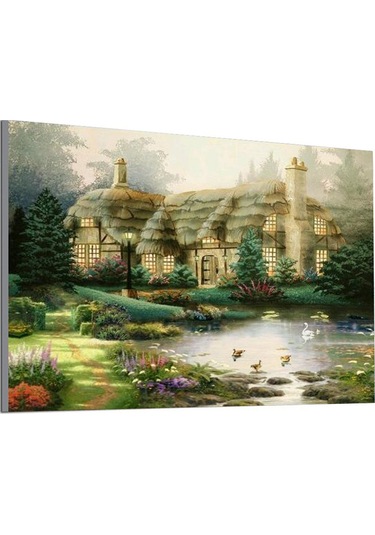 Ruicoo 5d Elmas Boyama Seti - Ev Dekoru İçin Tamamlanmış Tablo 25x30cm