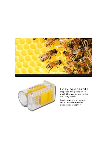 Kraliçe Arı İşaretleme Seti Yongtao