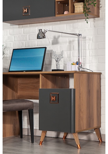 Retro 50x110 Cm Çalışma Masası + Duvar Raf Bilgisayar Masası Ofis Ders Masası Ceviz