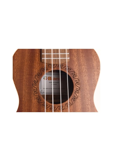 Bianca Simba24 Concert Ukulele - Soft Case
