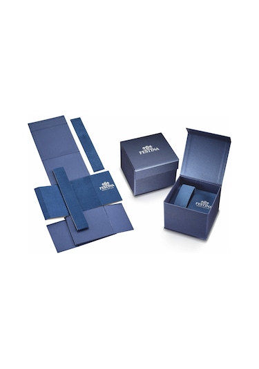 Festına F20704/2 Tımeless Chronograph Erkek Kol Saati Mavi