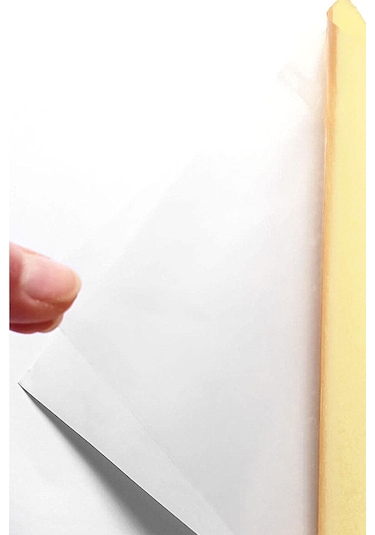 10 Adet Büyük Plaka 23x50 Cm Çift Taraflı Yapışkanlı Bant