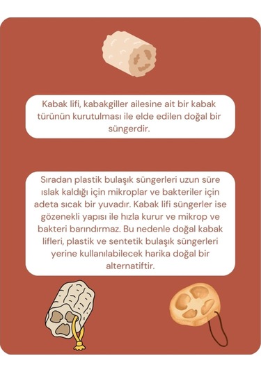 Pureal Kabak Lifi Sünger