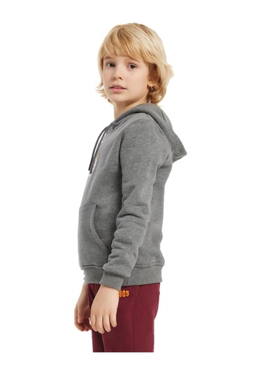 Gs Şampiyonlar Ligi Ucl Hoodie 230613k Gri