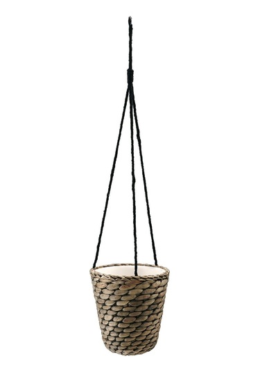 Asma Saksı, Su Sümbülü, 14 Cm 3 Adet