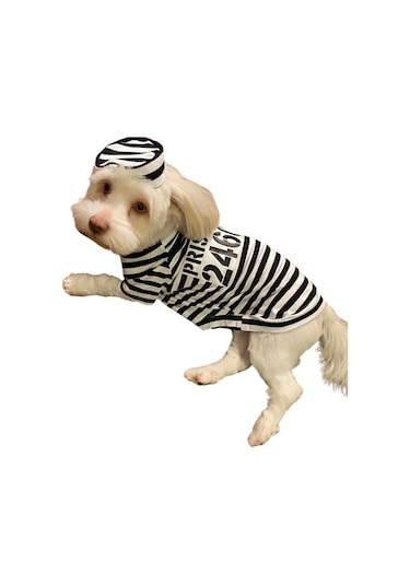 Ziggy Dog Prisoner Küçük Köpek T-shirtü