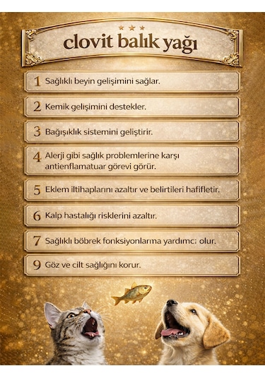 Clovit Kedi Somon Balık Yağı 200 Ml Omega 3 & 6 Epa Dha İçeren Takviye