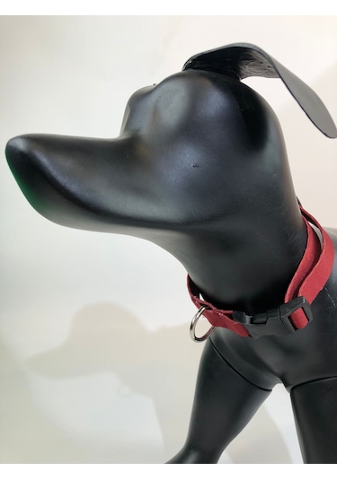 Mita Ayarlanabilir Köpek Boyun Tasması Kırmızı