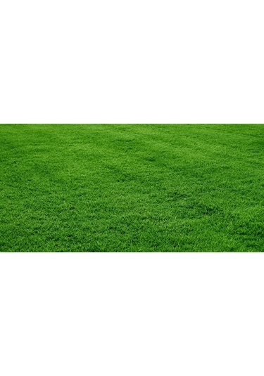 Çim Tohumu 10 KG N112812