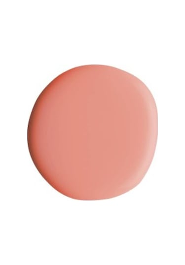 Alix Avien Oje 48 Yüksek Pigmentli Uzun Süreli Kalıcılık Hızlı Kuruma Nail Lacquer 48